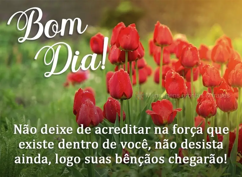 Não deixe de acreditar na força que existe dentro de você. Não desista ainda, logo suas bênçãos chegarão! Bom dia! 