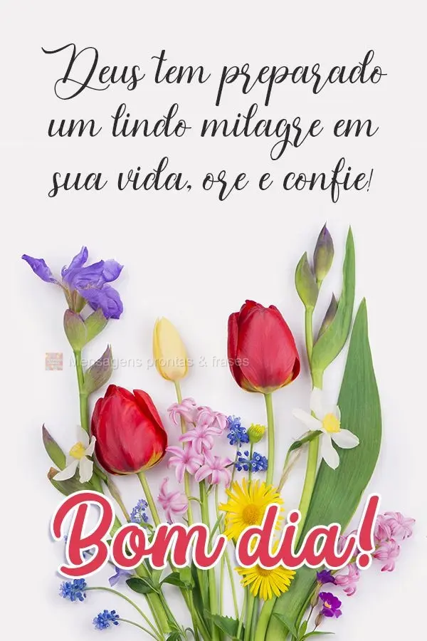 Deus tem preparado um lindo milagre em sua vida, ore e confie! Bom dia! 