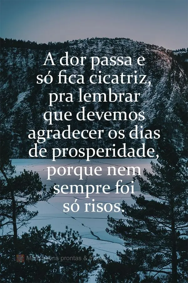 A dor passa e só fica cicatriz pra lembrar que devemos agradecer os dias de prosperidade, porque nem sempre foram só risos.