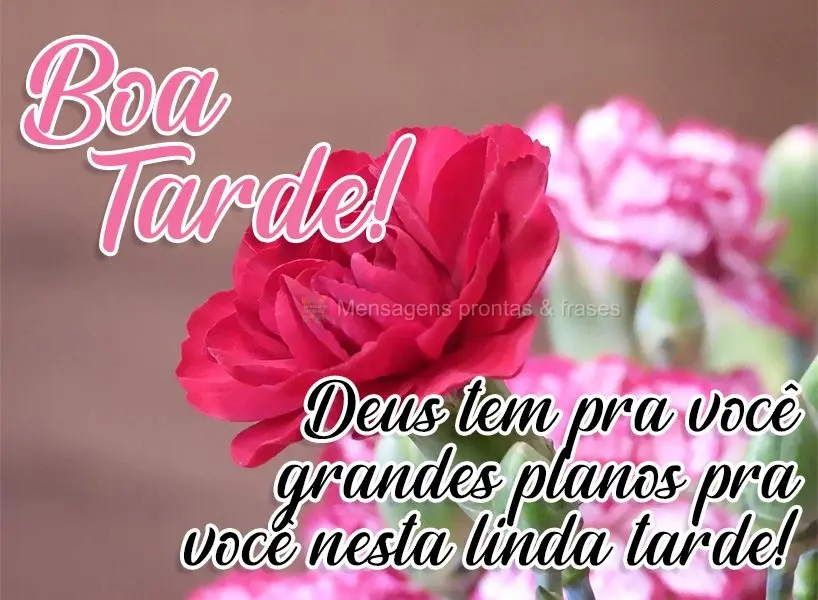 Deus tem grandes planos pra você nesta linda tarde! Boa tarde!