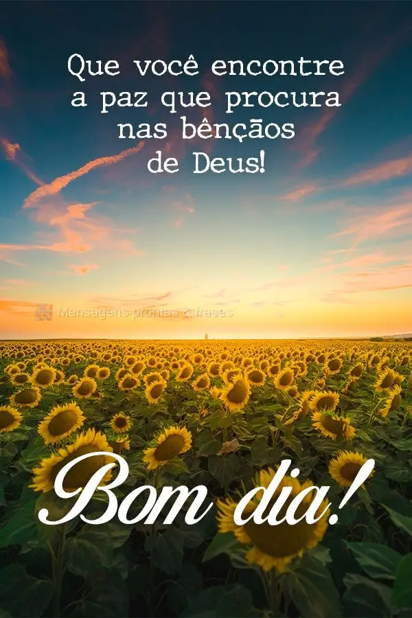 Que você encontre a paz que procura nas bênçãos de Deus!  Bom dia