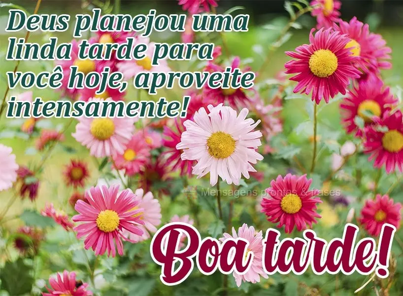 Deus planejou uma linda tarde para você hoje, aproveite intensamente! Boa tarde! 