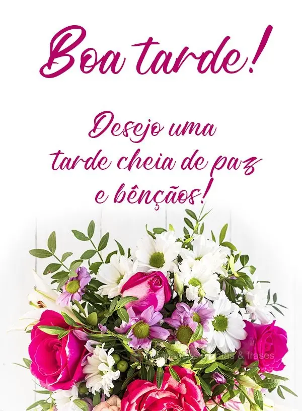 Desejo uma tarde cheia de paz e bênçãos!  Boa tarde!