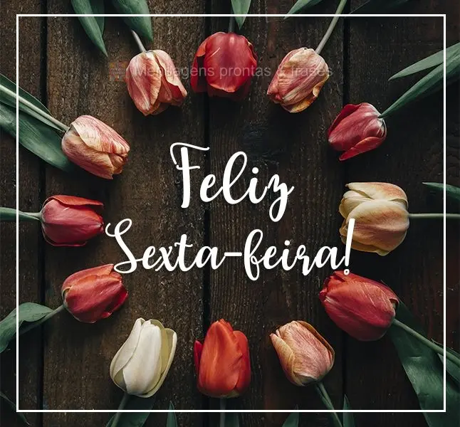 Feliz Sexta-feira!