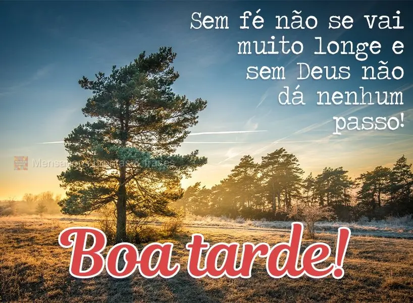 Sem fé não se vai muito longe e sem Deus não se dá nenhum passo! Boa tarde! 