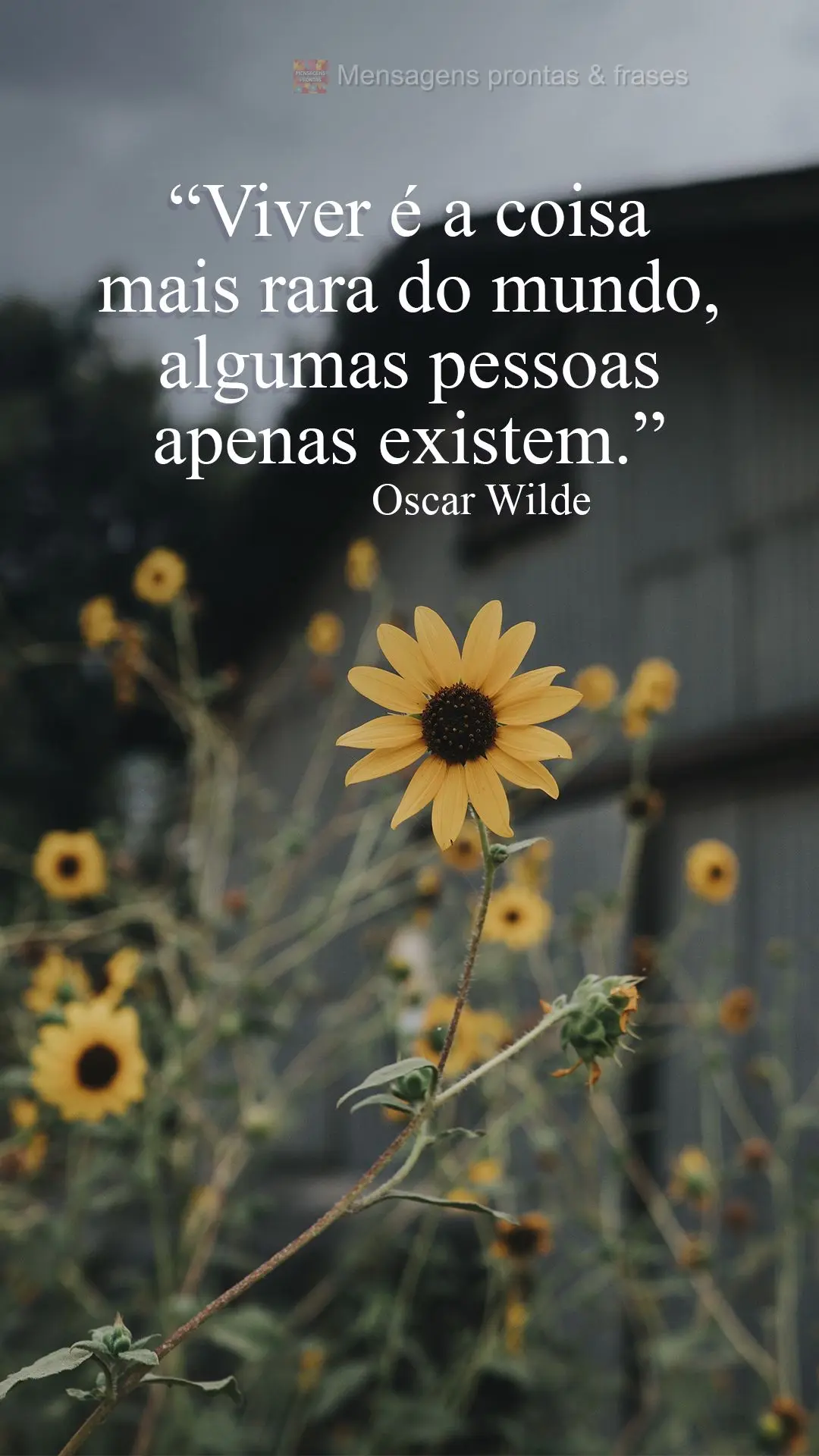 “Viver é a coisa mais rara do mundo, algumas pessoas apenas existem.” Oscar Wilde