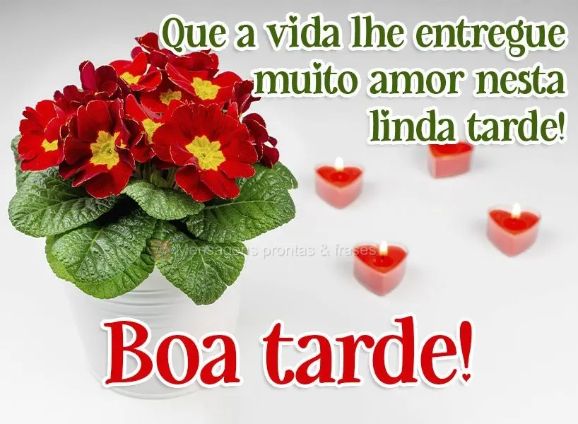 Que a vida lhe entregue muito amor nesta linda tarde! Boa tarde! 