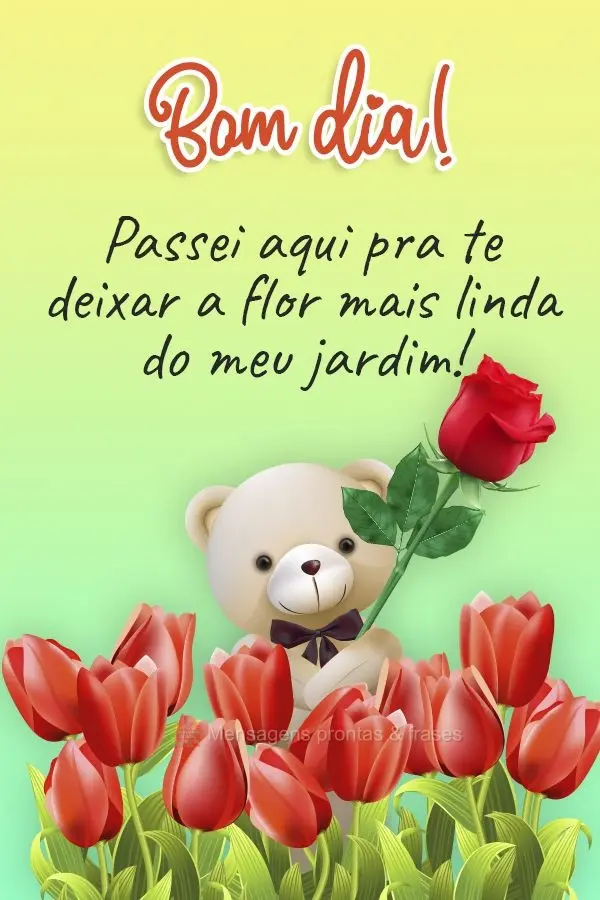 Passei aqui pra te deixar a flor mais linda do meu jardim! Bom dia! 