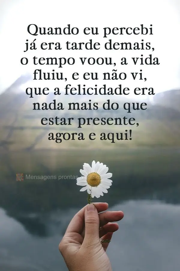 Quando eu percebi já era tarde demais, o tempo voou, a vida fluiu e eu não vi que a felicidade era nada mais do que estar presente, agora e aqui!