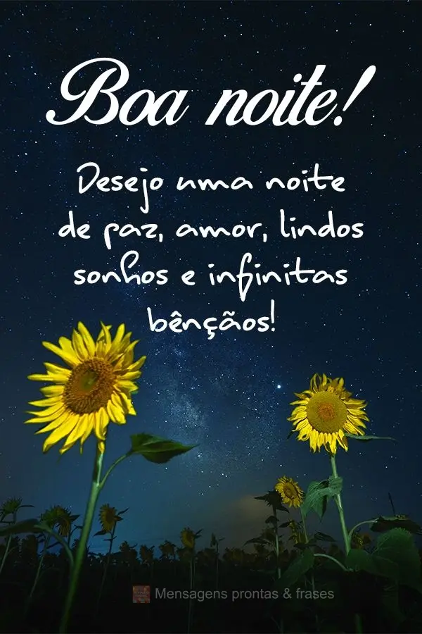 Desejo uma noite de paz, amor, lindos sonhos e infinitas bênçãos! Boa noite! 