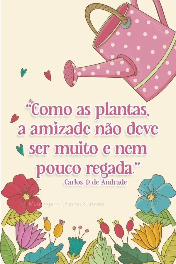 “Como as plantas, a amizade não deve ser muito e nem pouco regada.”  Carlos. D de Andrade