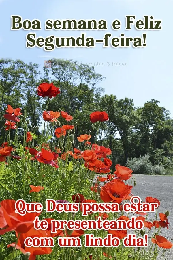 Boa semana e Feliz Segunda-feira! Que Deus possa estar te presenteando com um lindo dia!