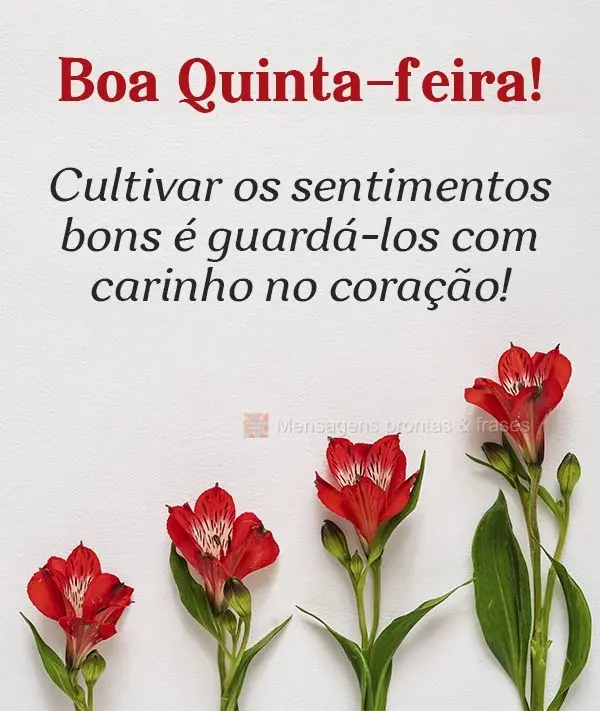 Cultivar os sentimentos bons é guardá-los com carinho no coração! Boa Quinta-feira!