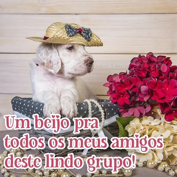 Um beijo pra todos os meus amigos deste lindo grupo!