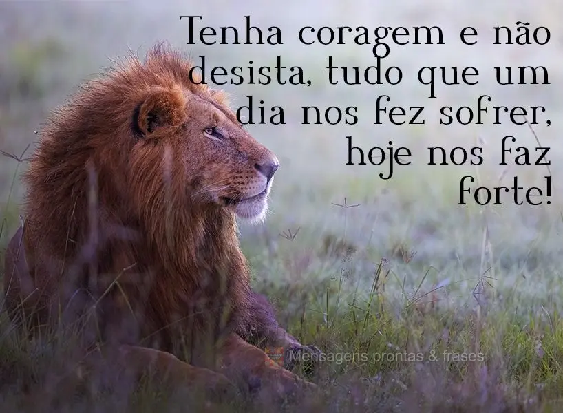 Tenha coragem e não desista, tudo que um dia nos fez sofrer, hoje nos faz forte!