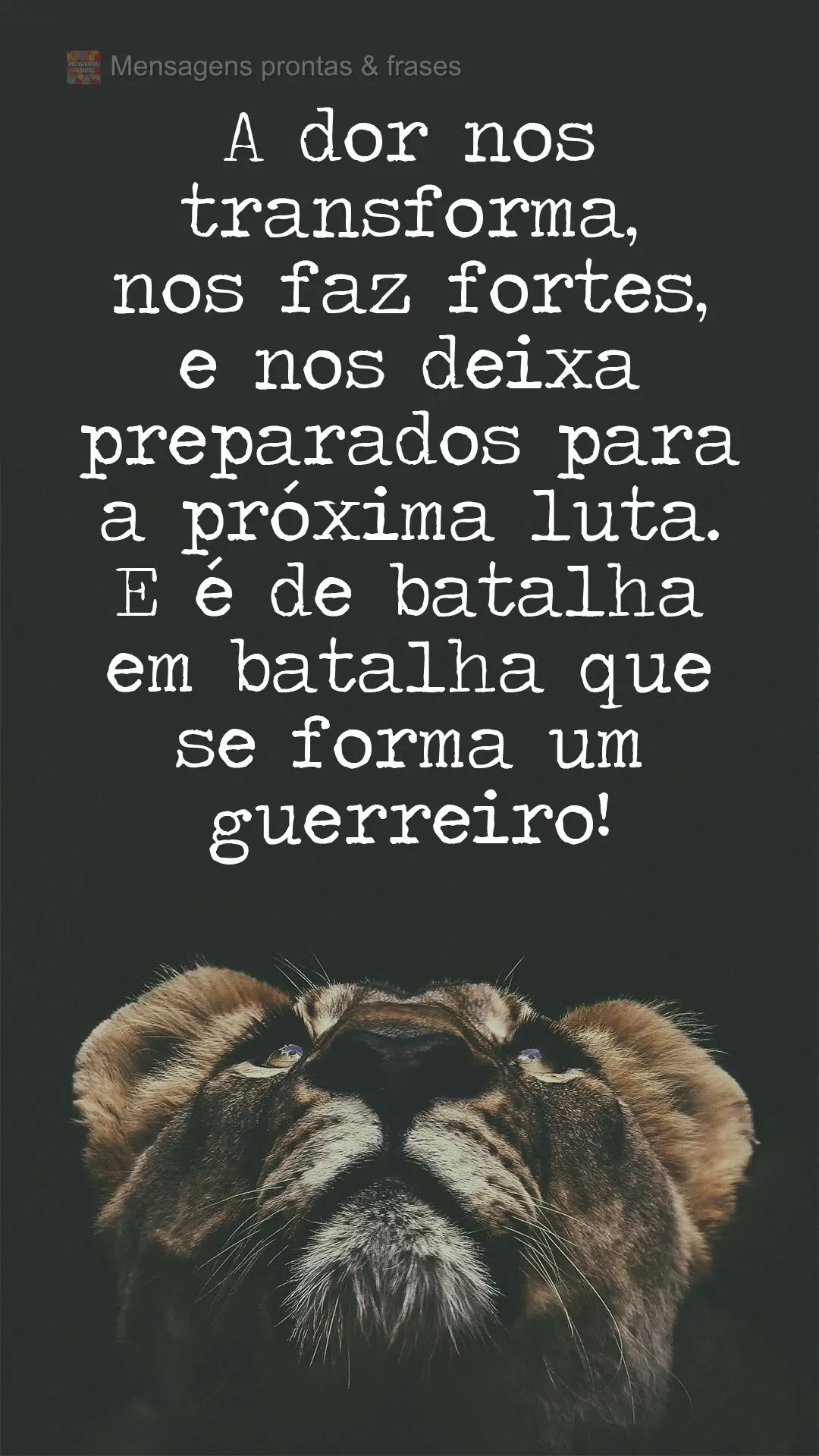 A dor nos transforma, nos faz fortes, nos deixa preparados para a próxima luta. E é de batalha em batalha que se forma um guerreiro!