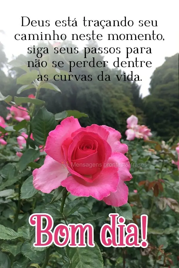 Deus está traçando seu caminho neste momento, siga seus passos para não se perder dentre as curvas da vida! Bom dia! 