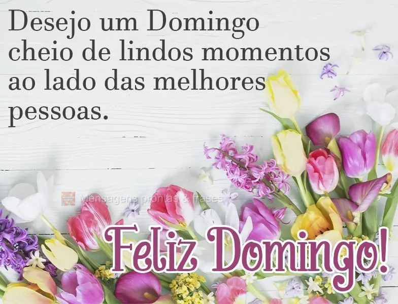 Desejo um Domingo cheio de lindos momentos ao lado das melhores pessoas.  Feliz Domingo!