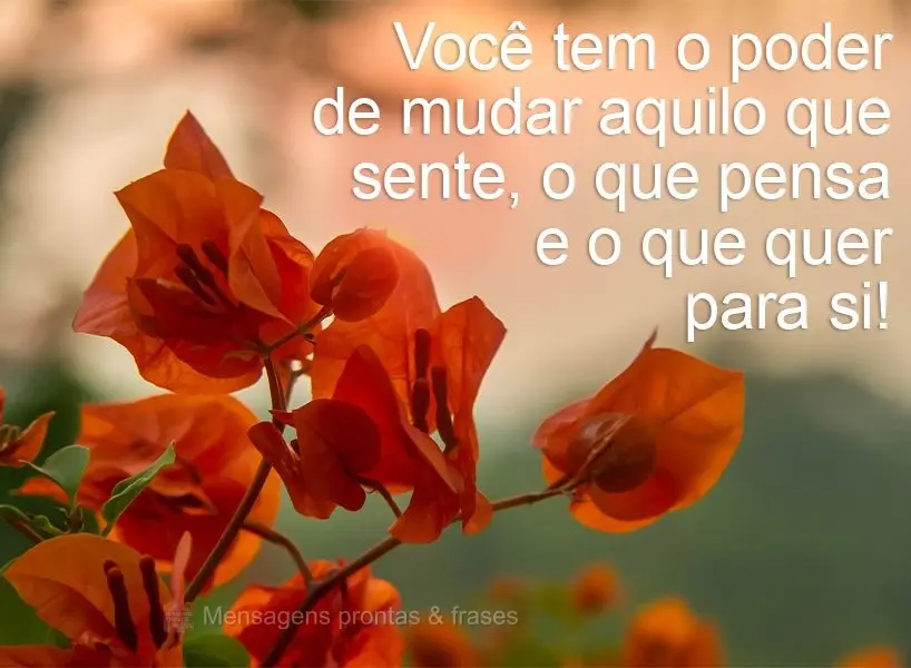 Você tem o poder de mudar aquilo que sente, o que pensa e o que quer para si!