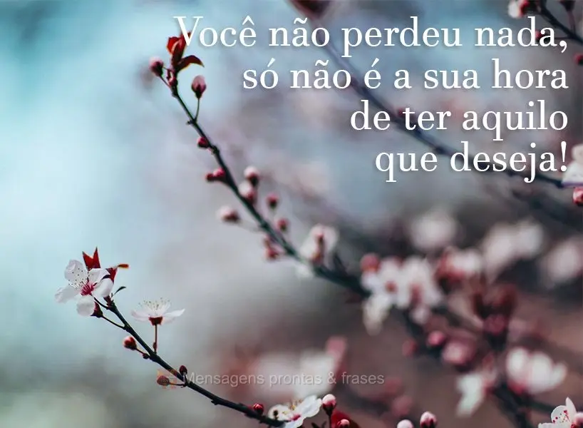 Você não perdeu nada, só não é a sua hora de ter aquilo que deseja!