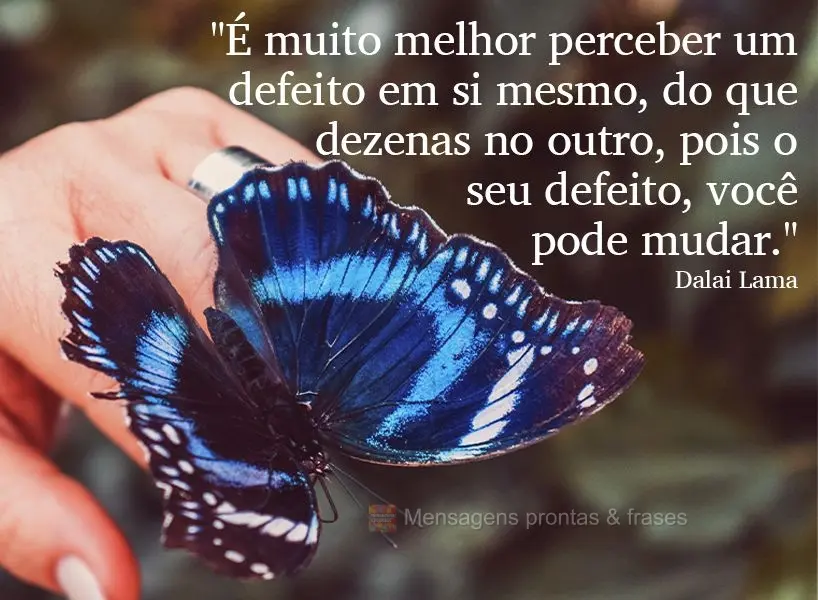 "É muito melhor perceber um defeito em si mesmo do que dezenas no outro, pois o seu defeito, você pode mudar." Dalai Lama