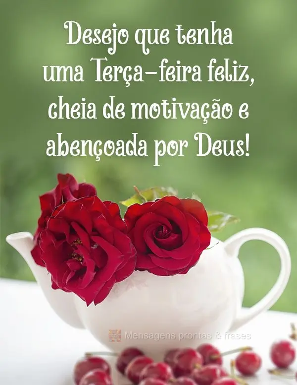 Desejo que tenha uma Terça-feira feliz, cheia de motivação e abençoada por Deus!