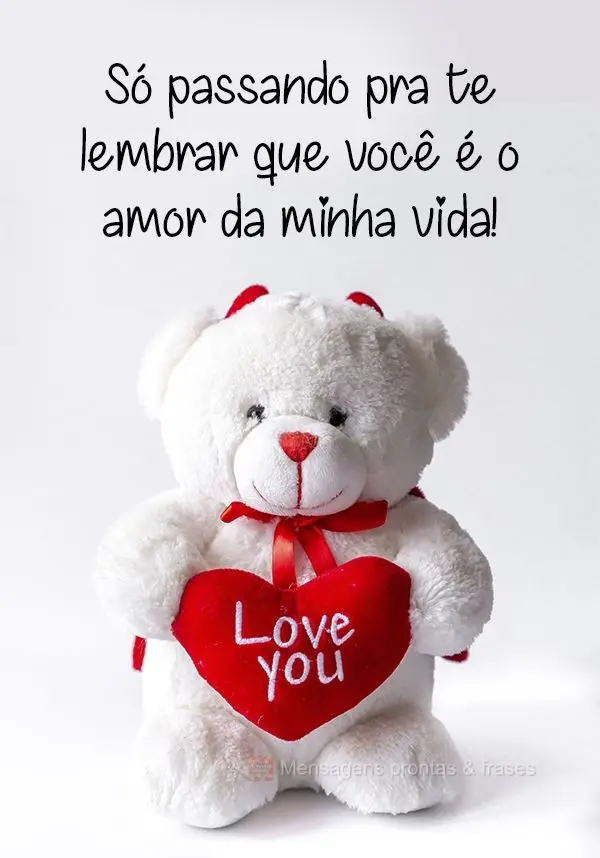 Só passando pra te lembrar que você é o amor da minha vida!