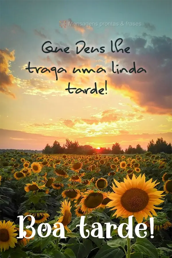 Que Deus lhe traga uma linda tarde! Boa tarde! 