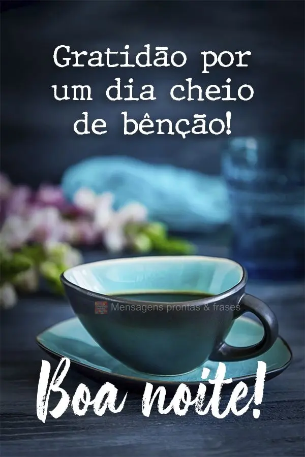 Gratidão por um dia cheio de bênção! Boa noite! 