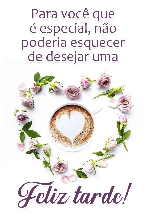 Para você que é especial, não poderia esquecer de desejar uma  Feliz Tarde!