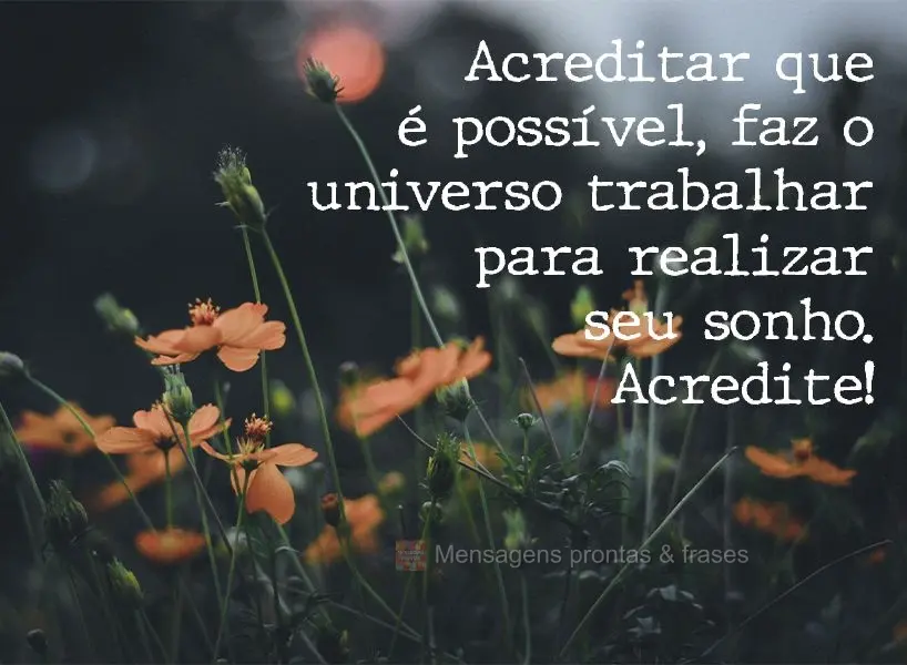 Acreditar que é possível faz o universo trabalhar para realizar seu sonho. Acredite!