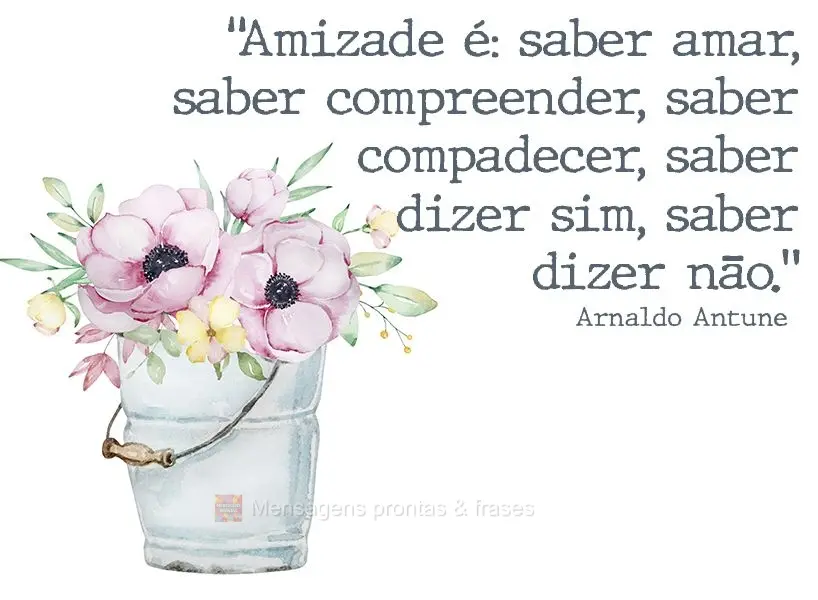 “Amizade é: saber amar, saber compreender, saber compadecer, saber dizer sim, saber dizer não.” Arnaldo Antunes