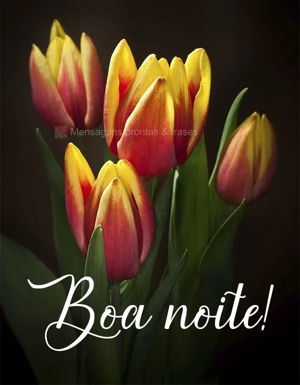 Boa noite!