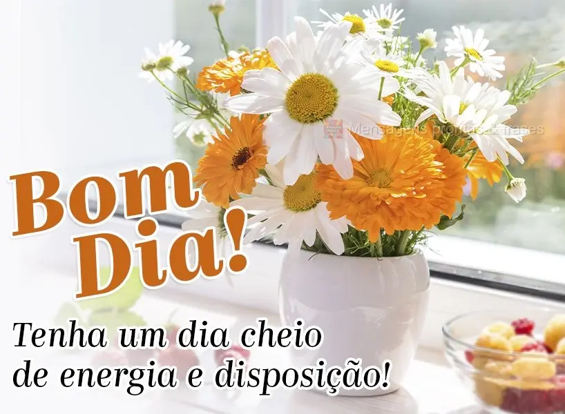 Tenha um dia cheio de energia e disposição. Bom dia!