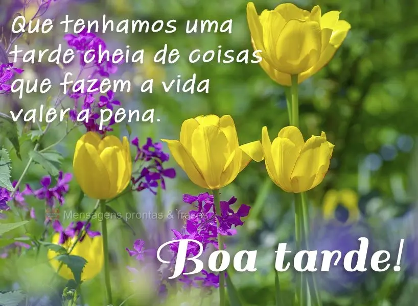 Que tenhamos uma tarde cheia de coisas que fazem a vida valer a pena.  Boa tarde!