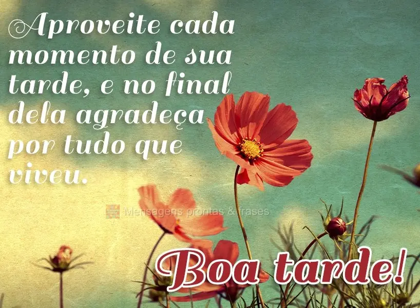 Aproveite cada momento de sua tarde, e no final dela agradeça por tudo que viveu. Boa tarde!