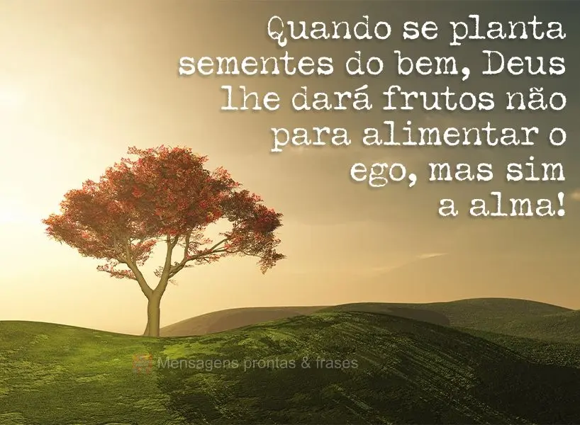 Quando se planta sementes do bem, Deus lhe dará frutos não para alimentar o ego, mas sim a alma!