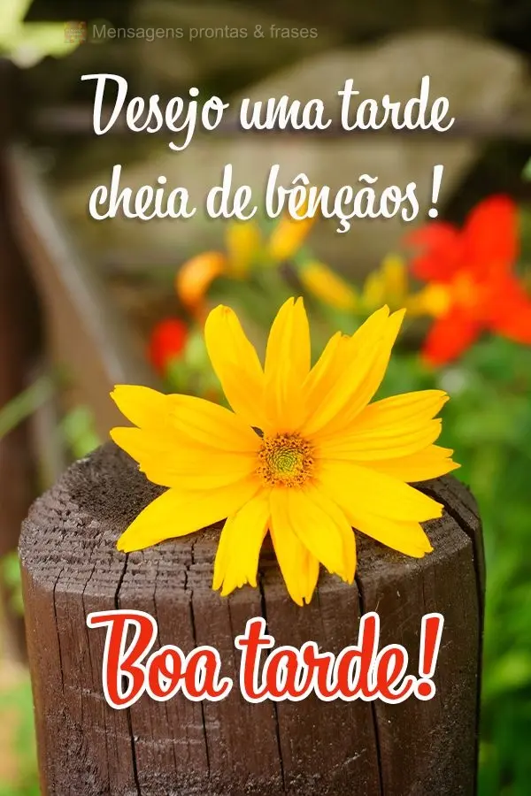 Desejo uma tarde cheia de bênçãos! Boa tarde! 