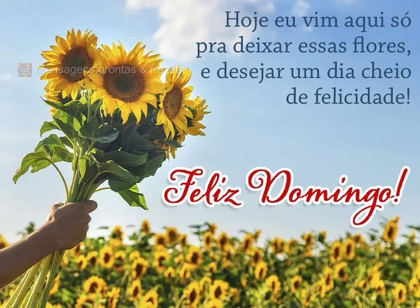 Hoje eu vim aqui só pra deixar essas flores e desejar um dia cheio de felicidade!  Feliz Domingo!