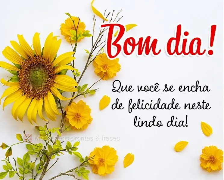 Que você se encha de felicidade neste lindo dia!  Bom dia!