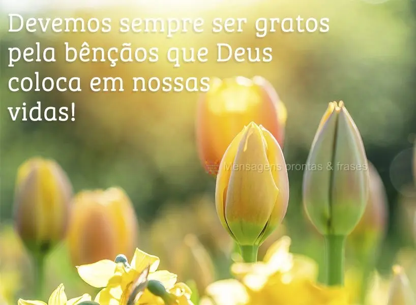 Devemos sempre ser gratos pela bênçãos que Deus coloca em nossas vidas!