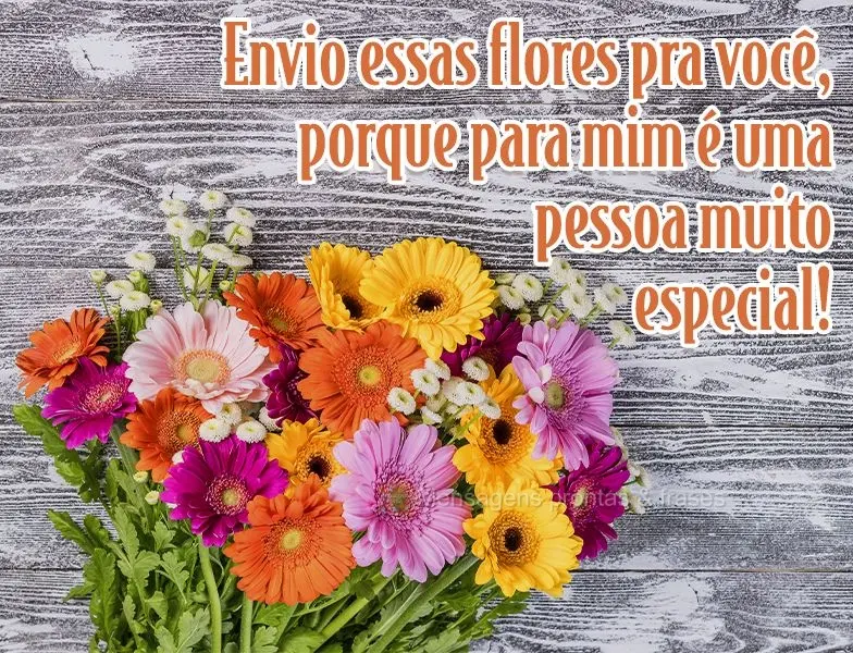 Envio essas flores pra você, porque para mim, és uma pessoa muito especial!