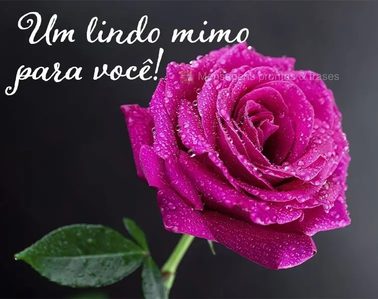 Um lindo mimo para você!