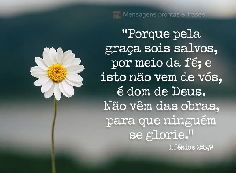 “Porque pela graça sois salvos, por meio da fé; e isto não vem de vós, é dom de Deus. Não vêm das obras, para que ninguém se glorie.” Efésio...