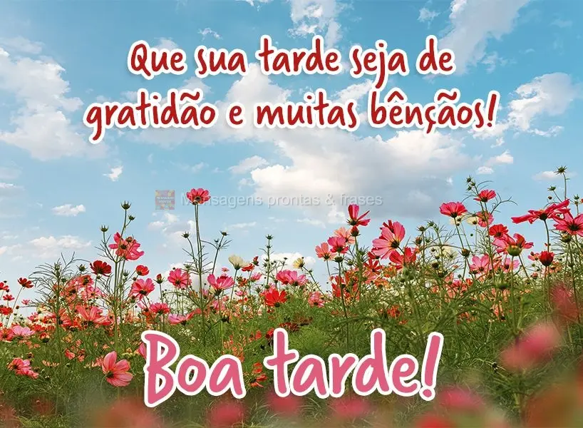 Que sua tarde seja de gratidão e muitas bênçãos! Boa tarde!