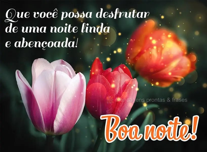 Que você possa desfrutar de uma noite linda e abençoada! Boa noite!