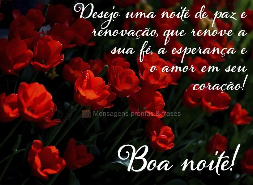 Desejo uma noite de paz e renovação. Que renove a sua fé, a esperança e o amor em seu coração! Boa noite!