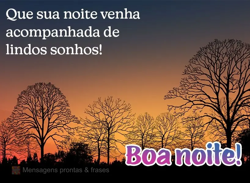 Que sua noite venha acompanhada de lindos sonhos! Boa noite! 