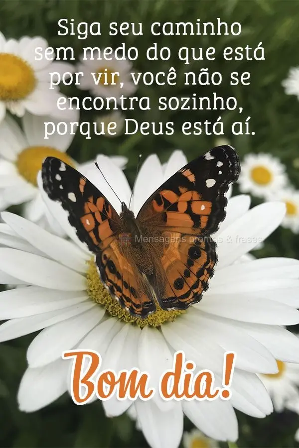 Siga seu caminho sem medo do que está por vir, você não se encontra sozinho, porque Deus está aí. Bom dia!