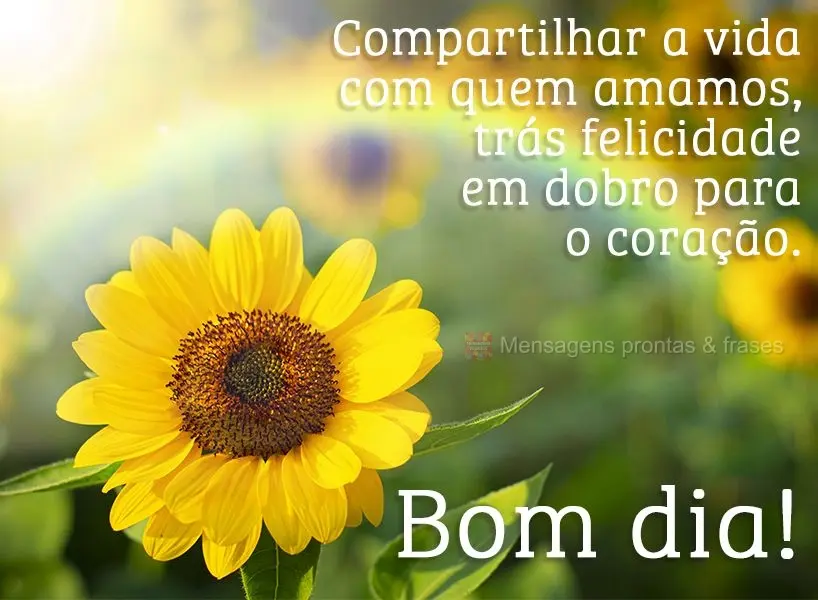 Compartilhar a vida com quem amamos traz felicidade em dobro para o coração. Bom dia!